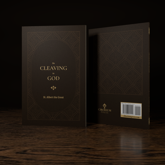 On Cleaving to God — paperback mockup, front and back covers