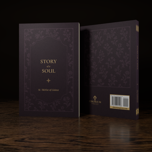 Story of a Soul — paperback mockup, front and back covers